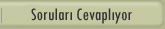 Sorulari Cevapliyor